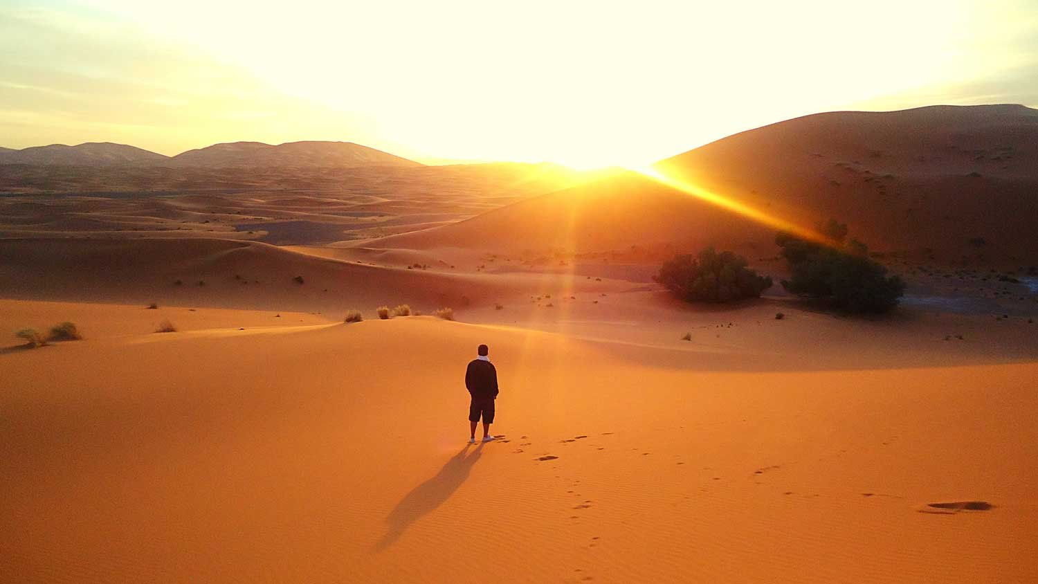 Morning Desert Safari Dubai