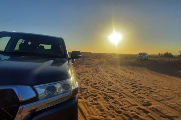Evening Desert Safari