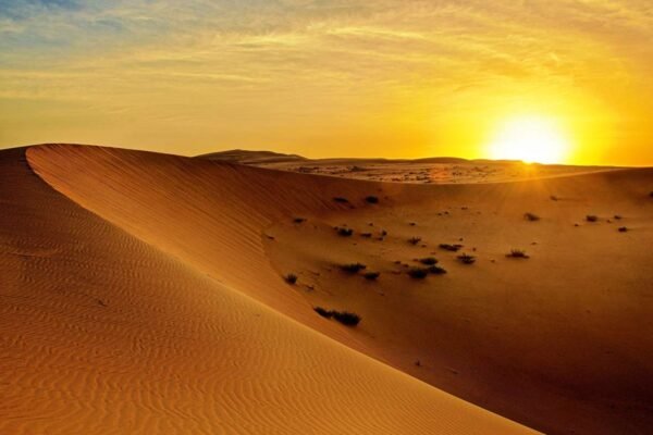 Morning Desert Safari