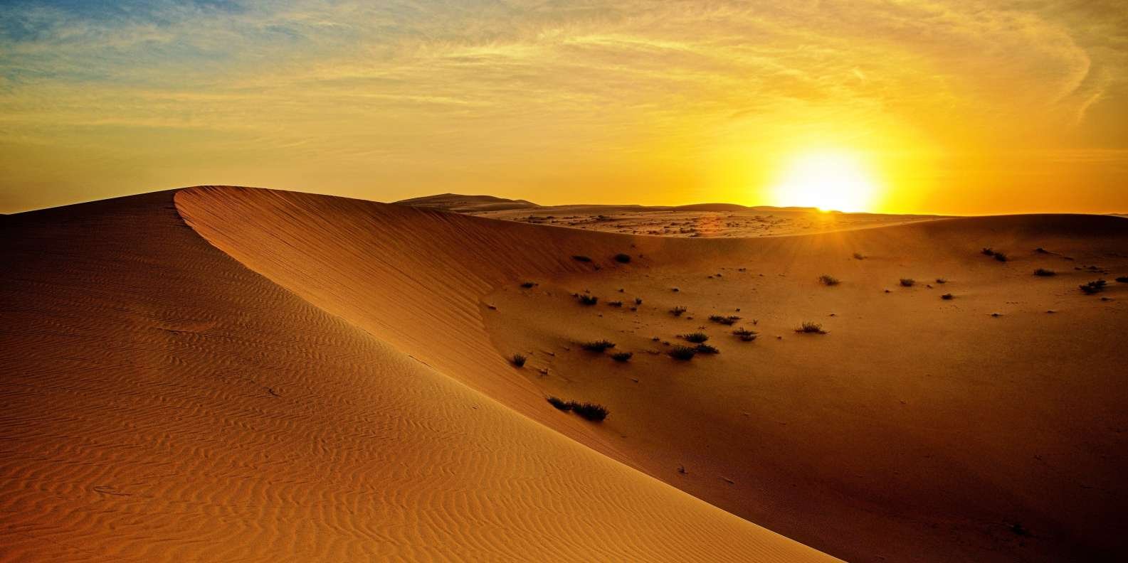 Morning Desert Safari