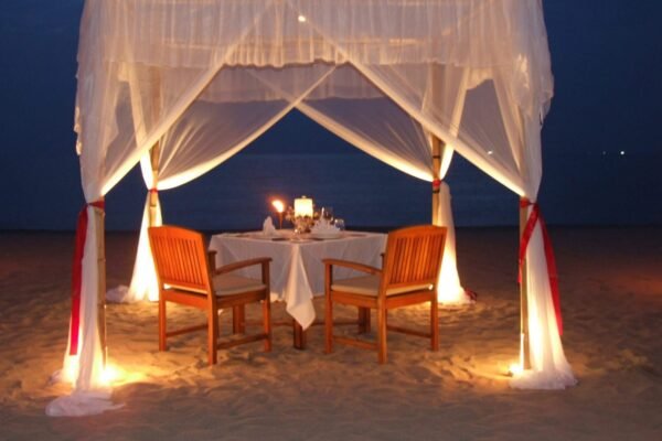 Romantic dinner arrangement