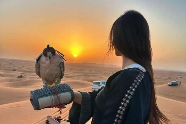 Falconry in the Dubai Desert