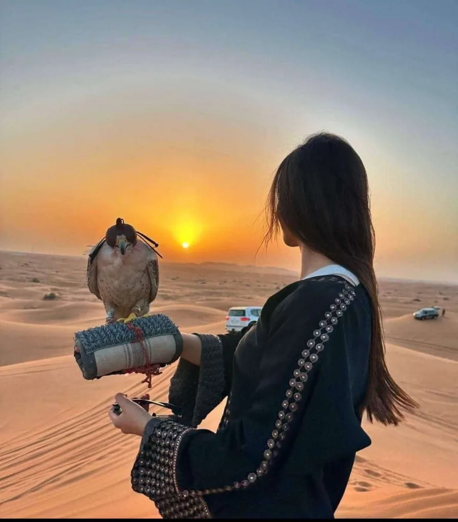 Falconry in the Dubai Desert